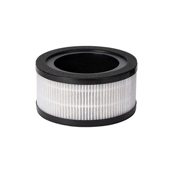 2B0136 HEPA13 Replacement Filter for AP8030